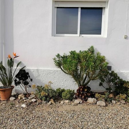 Villa Casa Jardin. Vivienda Rural En Zona Tranquila. à Lucainena de las Torres Extérieur photo