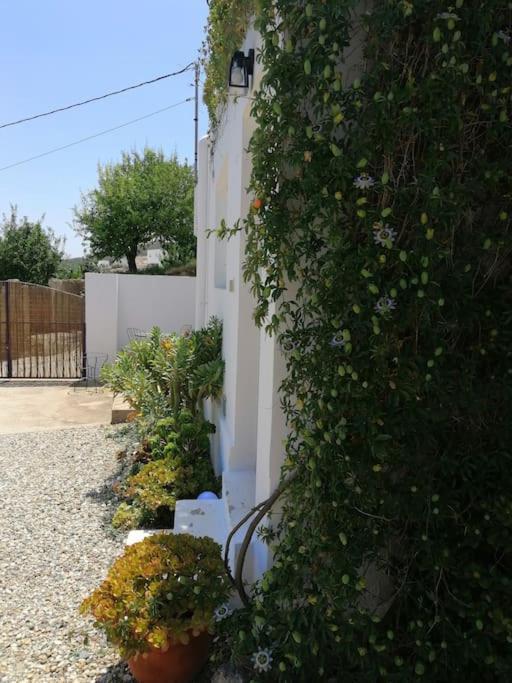 Villa Casa Jardin. Vivienda Rural En Zona Tranquila. à Lucainena de las Torres Extérieur photo