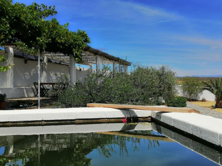 Villa Casa Jardin. Vivienda Rural En Zona Tranquila. à Lucainena de las Torres Extérieur photo
