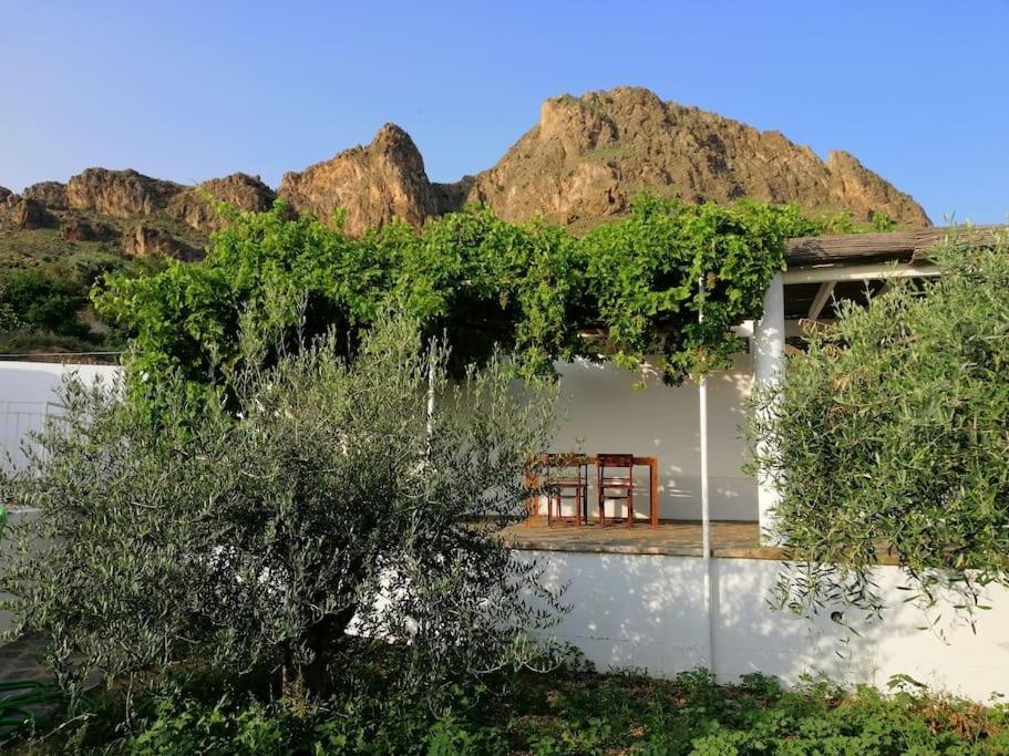 Villa Casa Jardin. Vivienda Rural En Zona Tranquila. à Lucainena de las Torres Extérieur photo