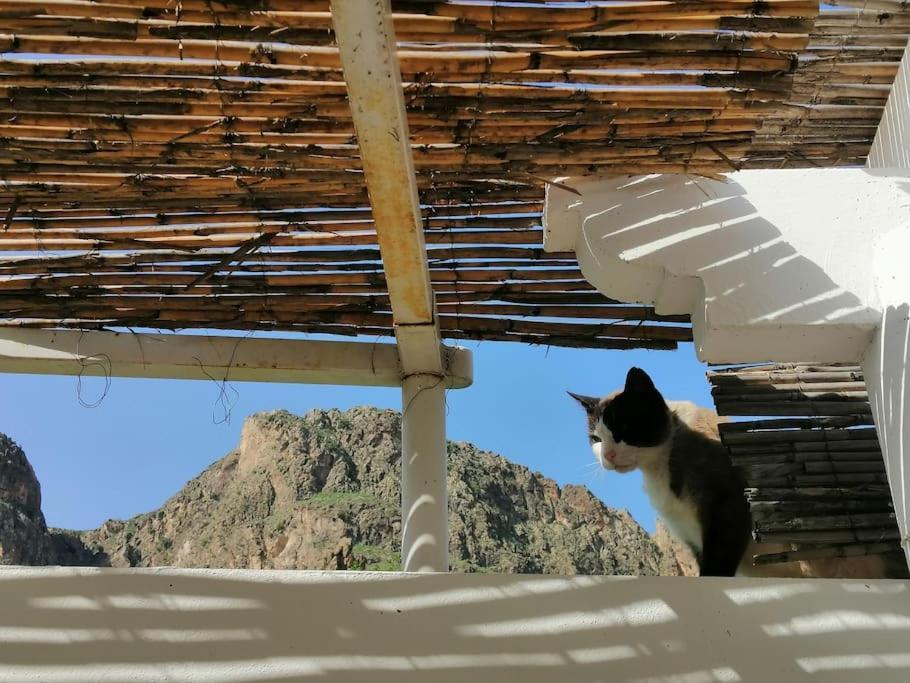 Villa Casa Jardin. Vivienda Rural En Zona Tranquila. à Lucainena de las Torres Extérieur photo