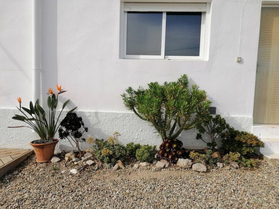 Villa Casa Jardin. Vivienda Rural En Zona Tranquila. à Lucainena de las Torres Extérieur photo