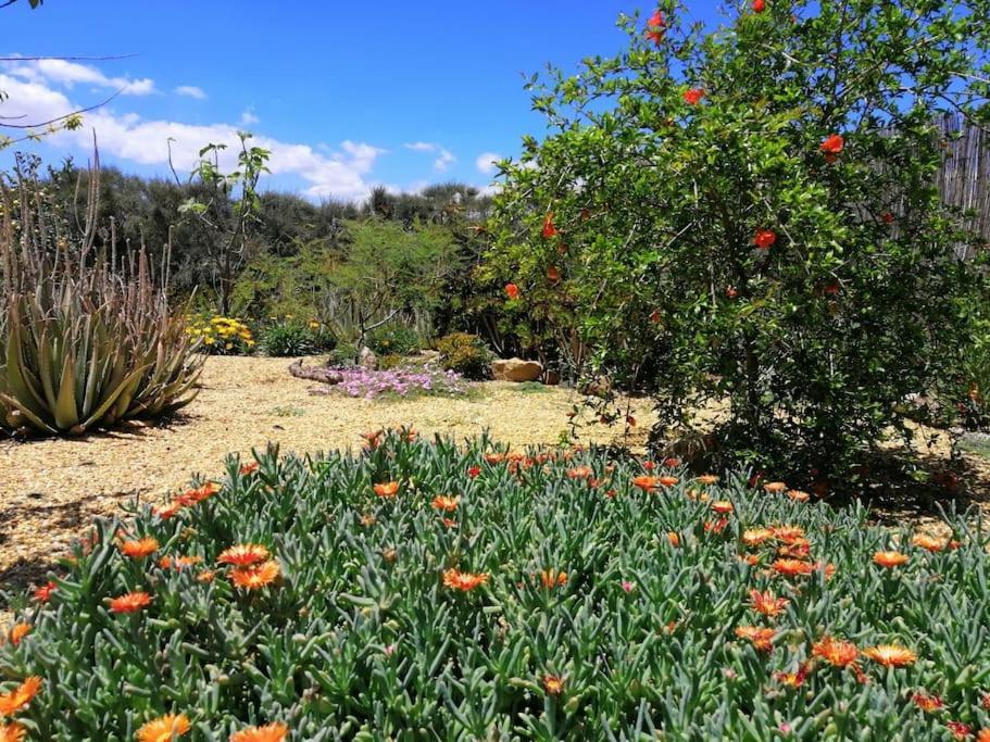 Villa Casa Jardin. Vivienda Rural En Zona Tranquila. à Lucainena de las Torres Extérieur photo